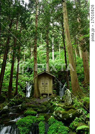 胴腹の滝 17010826