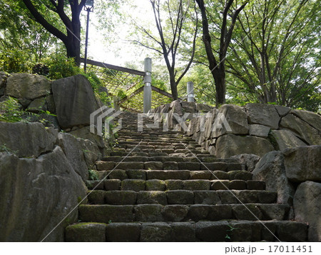 豊ヶ丘北公園 豊ヶ丘北公園 17011451