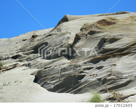 OLYMPUS DIGITAL CAMERA 17012605