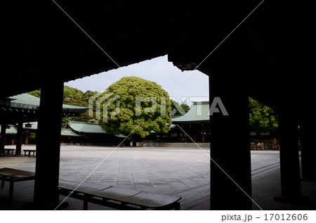 明治神宮境内 17012606