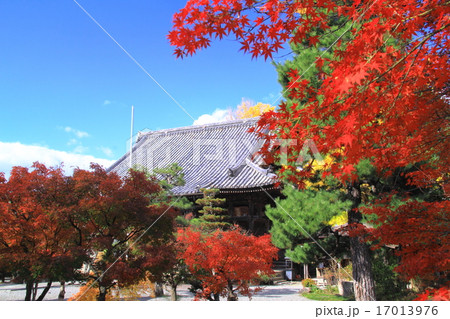 穴太寺(京都 亀岡)の紅葉 穴太寺(京都 亀岡)の紅葉 17013976