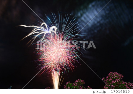 按針祭花火 17014619