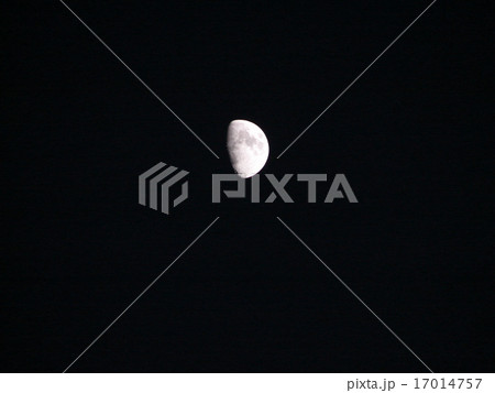 下弦の月 17014757