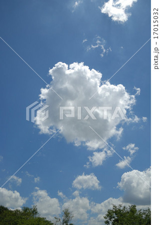 夏の日の空 17015032
