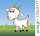 Funny goat 17015577