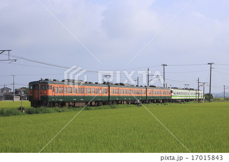 越後線115系(5両:信越本線直通) 越後線115系(5両:信越本線直通) 17015843