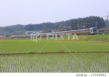 栃木県内を行く寝台特急カシオペア 栃木県内を行く寝台特急カシオペア 17016061