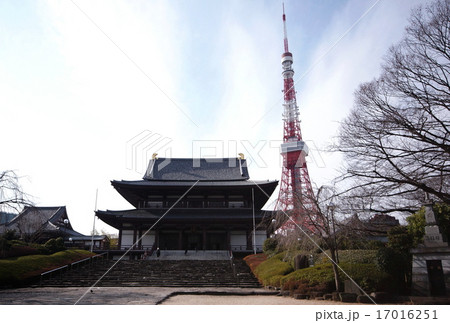 大本山 増上寺 大殿 ( 本堂 ) & 東京タワー ( 東京都 港区 芝公園 ) 大本山 増上寺 大殿 ( 本堂 ) & 東京タワー ( 東京都 港区 芝公園 ) 17016251