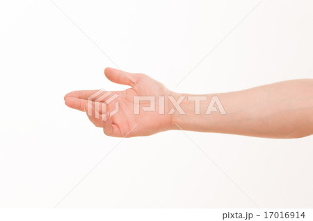 Man's hand 17016914