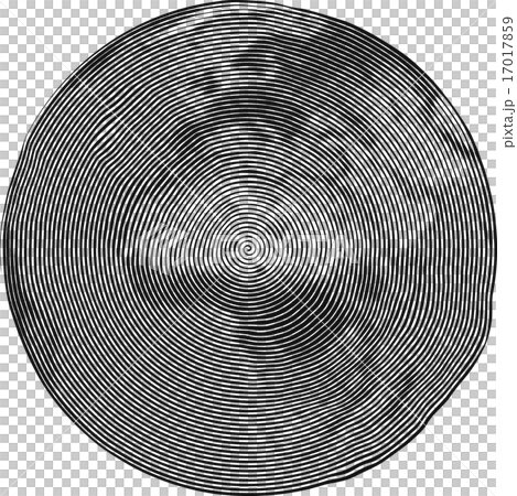 Africa Guilloche 17017859