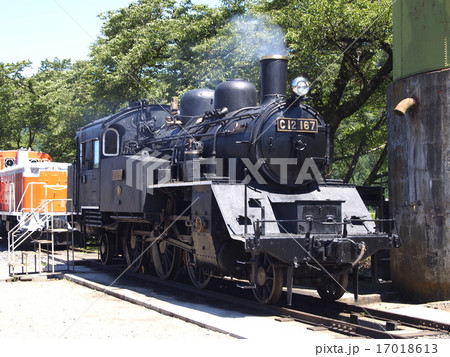 C12 17018613