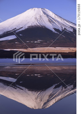 山中湖に写り込む富士山 山中湖に写り込む富士山 17019888