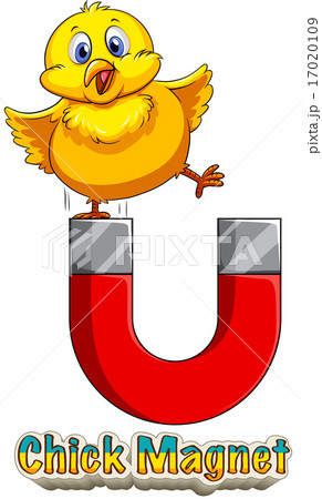 Chick attracted to magnet 17020109