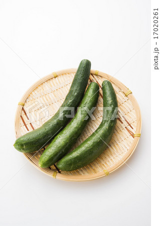 きゅうり きゅうり 17020261