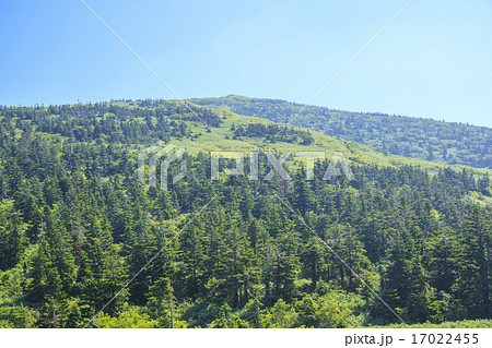 夏の森吉山　秋田県北秋田市 17022455
