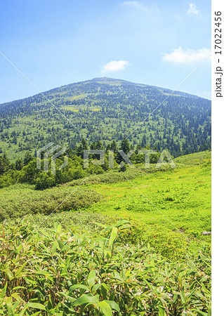 夏の森吉山　秋田県北秋田市 17022456