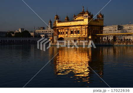 インド　アムリトサル　朝日で輝く黄金寺院 17022636