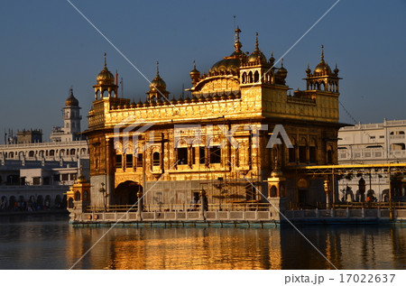 インド　アムリトサル　朝日で輝く黄金寺院 17022637