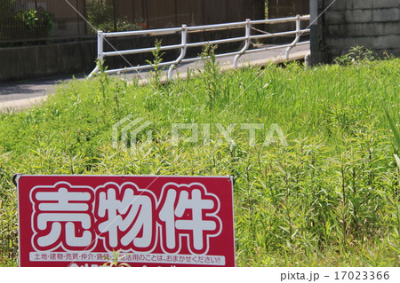 売物件 売物件 17023366