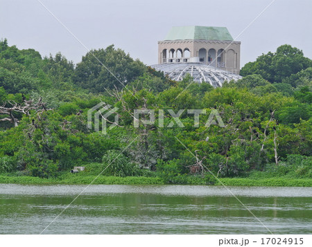 昆陽池公園・昆虫館 昆陽池公園・昆虫館 17024915
