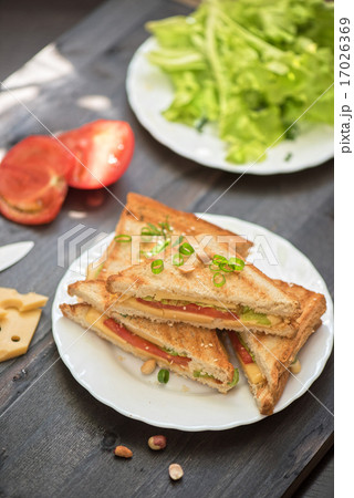 Cheese sandwich 17026369