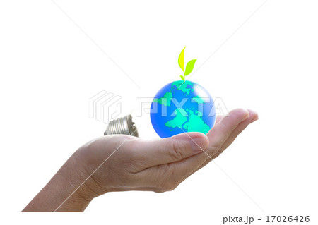 abstract globe in the light bulb with plant abstract globe in the light bulb with plant 17026426