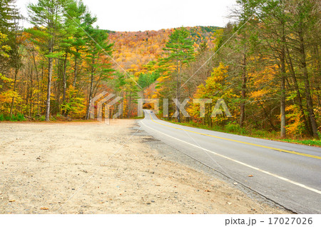 Autumn scene with road Autumn scene with road 17027026