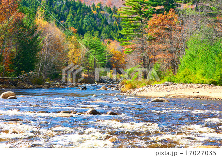 Swift River at autumn Swift River at autumn 17027035