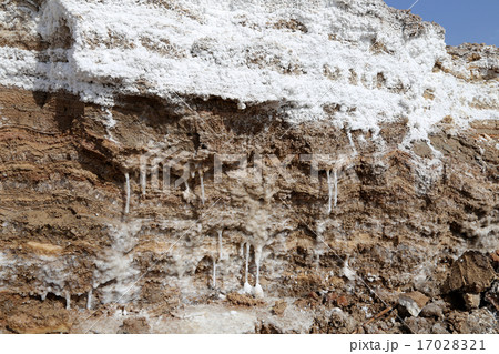 dead sea salt at Jordan 17028321