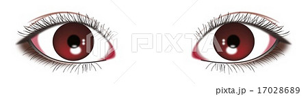 瞳 瞳 17028689