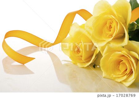薔薇 17028769