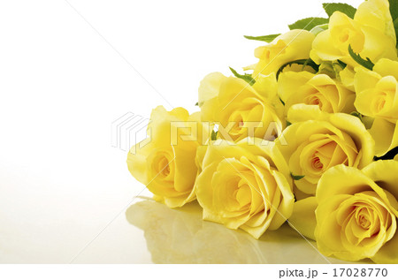 薔薇 17028770