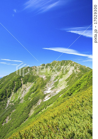 夏の南アルプス　仙丈ヶ岳　山梨県南アルプス市 17029300