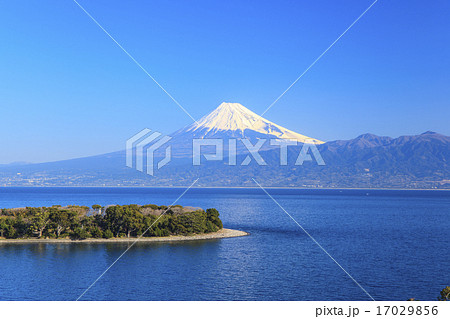 大瀬崎から望む富士山と駿河湾 大瀬崎から望む富士山と駿河湾 17029856