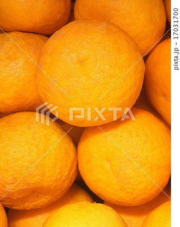 箱詰めの甘夏ミカン（スルガエレガント） 17031700