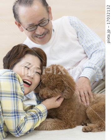 トイプードルを撫でるシニア夫婦 17032132