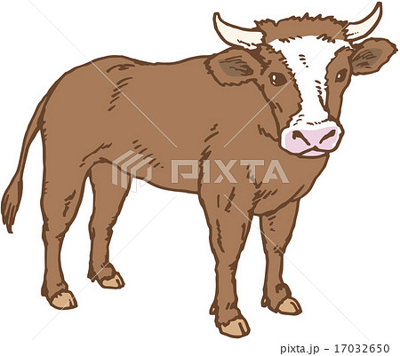 牛のイラスト素材 17032650 Pixta