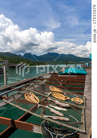 view on dried fish on Koh Chang fishing farm 17033979