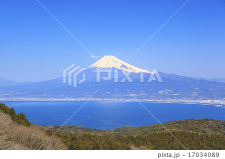 だるま山高原から望む富士山と駿河湾 17034089