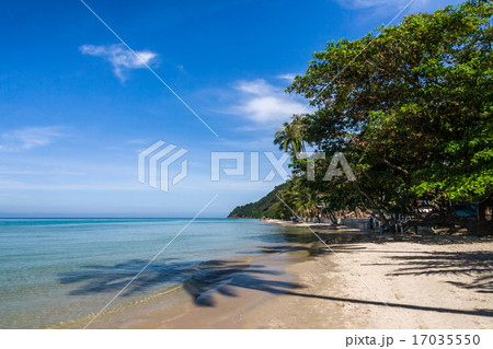 palm shadow on Koh Chang beach Thailand 17035550