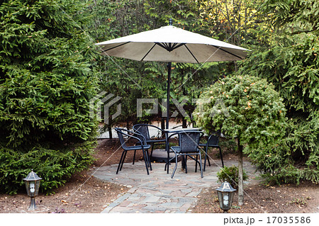 summer garden 17035586