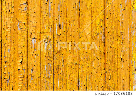 wood background 17036188