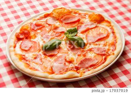 tasty pizza 17037019