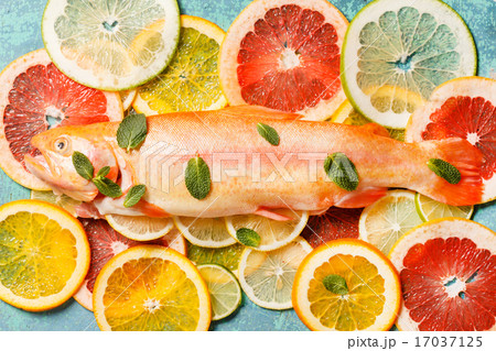 golden trout 17037125