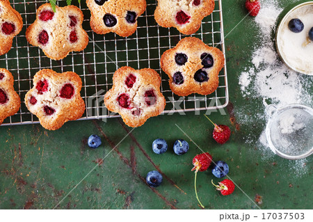 berry financier berry financier 17037503