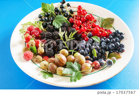 fresh berries 17037567