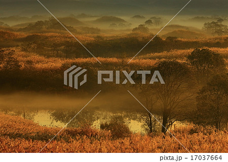 秋田県　冬師湿原の夜明け 17037664