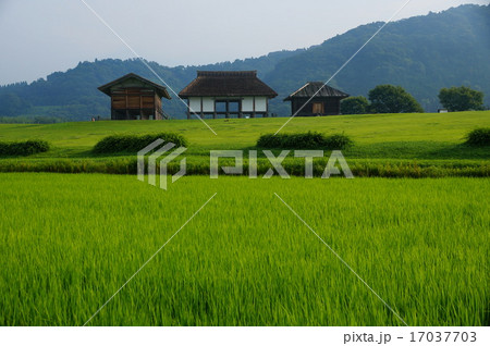 古代の生活 17037703