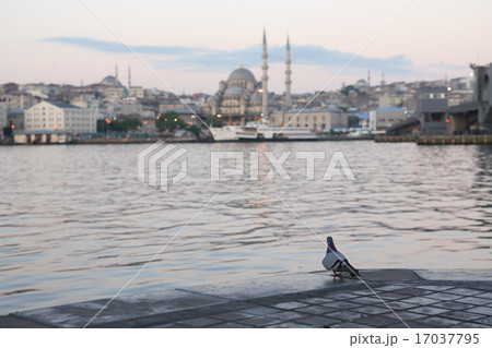 Golden Horn Bay Embankment Golden Horn Bay Embankment 17037795