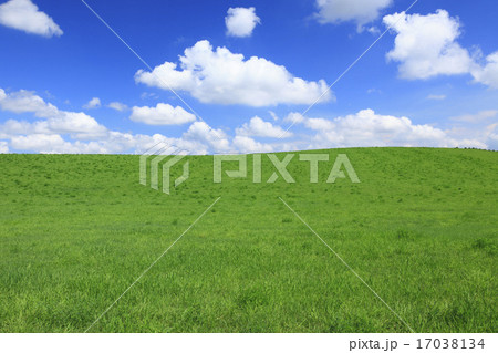 北海道　美瑛町　草原と流れる夏雲 17038134